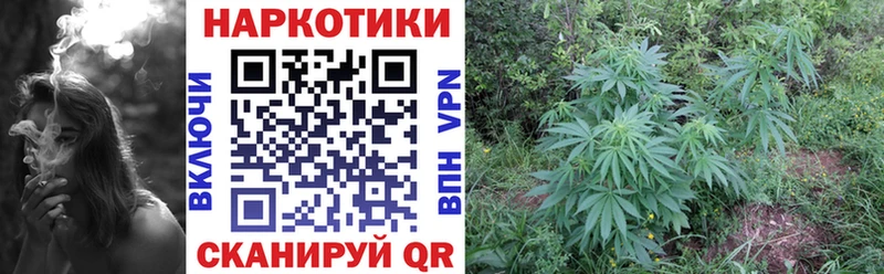 Наркошоп купить ГАШ  Кодеин  Псилоцибиновые грибы  Меф  Канабис  Слободской