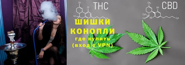 ГАЛЛЮЦИНОГЕННЫЕ ГРИБЫ Зерноград